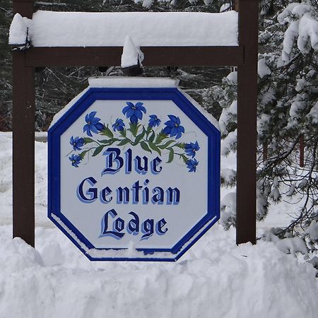 Blue Gentian Lodge At Magic Mountain Londonderry Exteriör bild