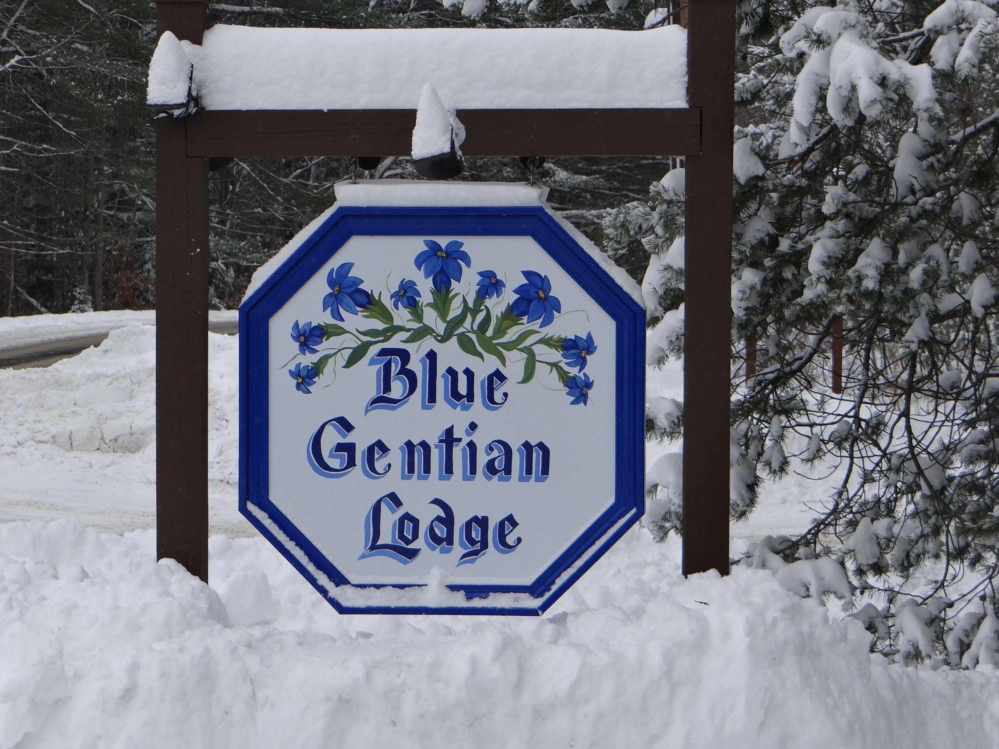 Blue Gentian Lodge At Magic Mountain Londonderry Exteriör bild