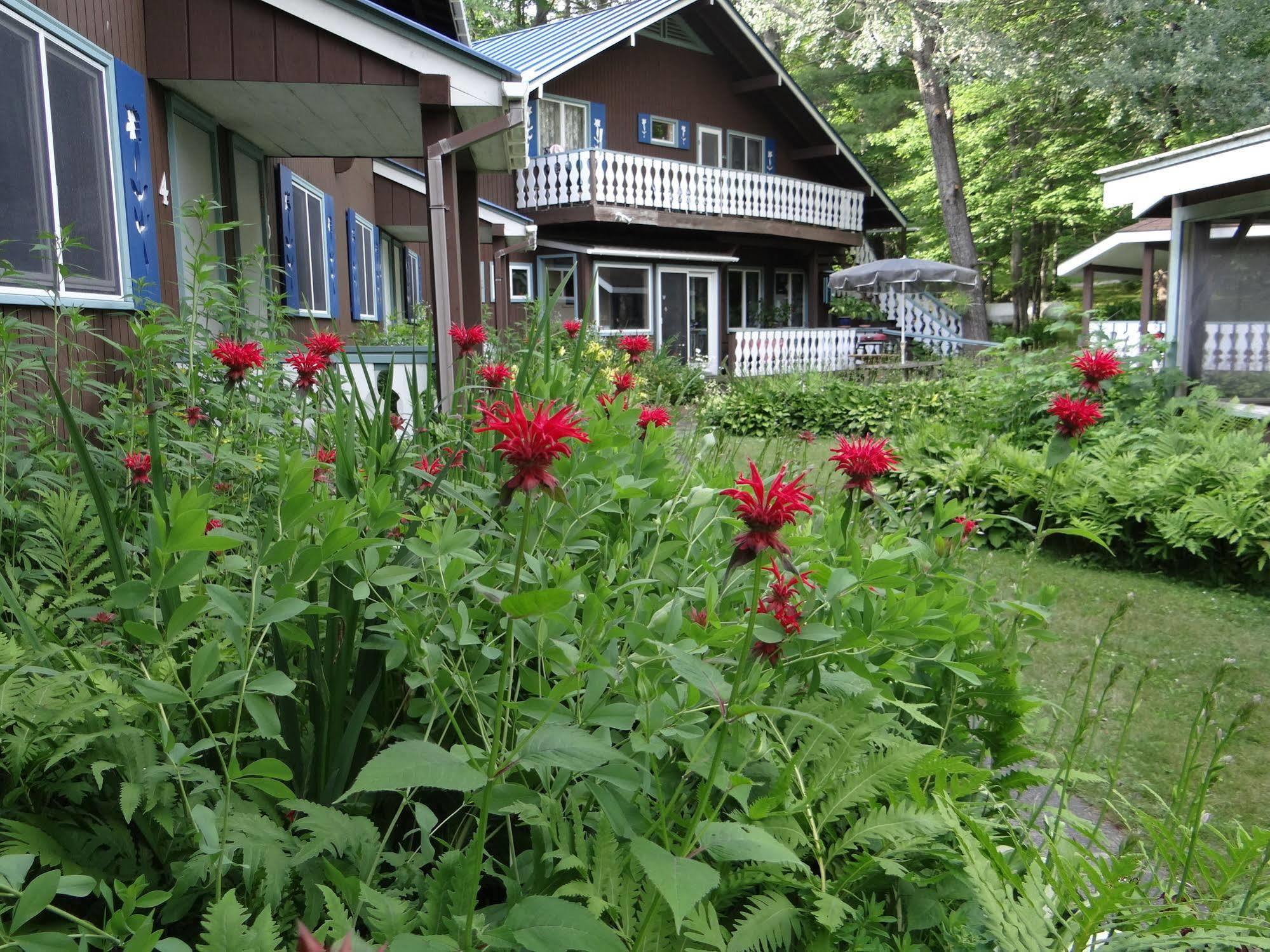 Blue Gentian Lodge At Magic Mountain Londonderry Exteriör bild